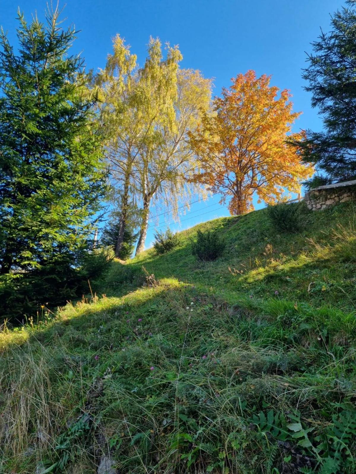 Mosorel Măgura Eksteriør billede