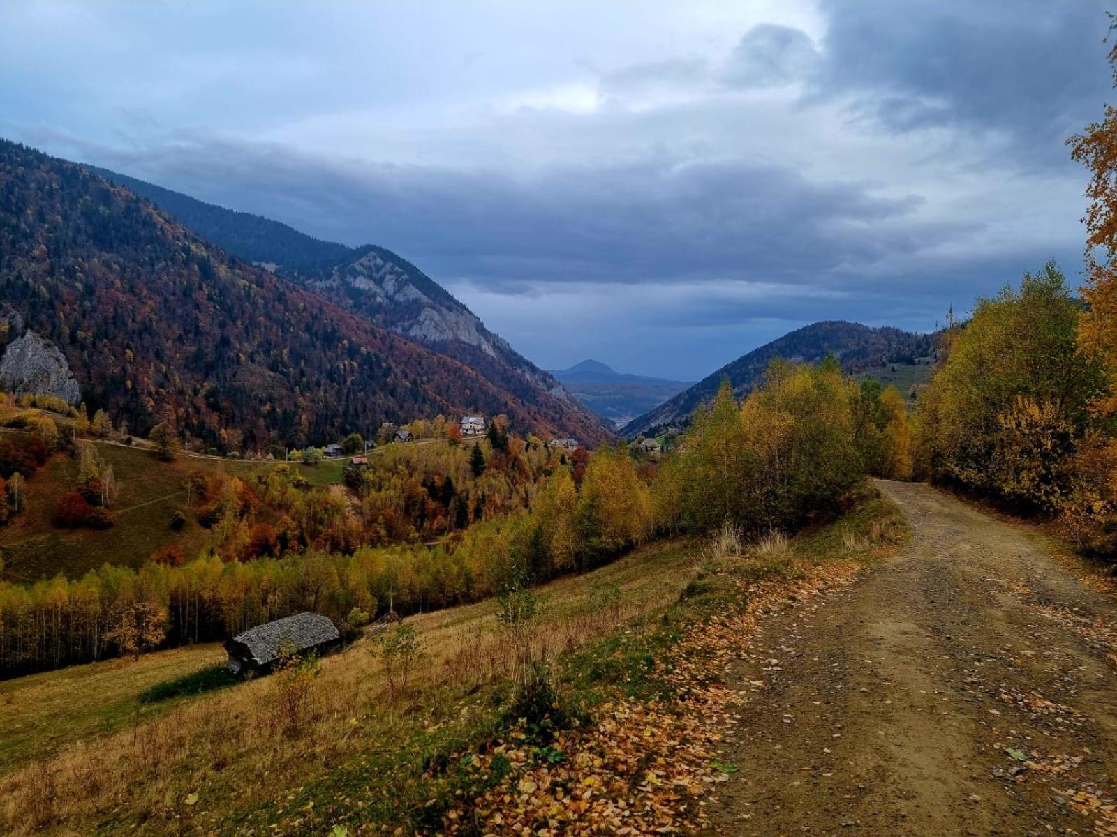 Mosorel Măgura Eksteriør billede